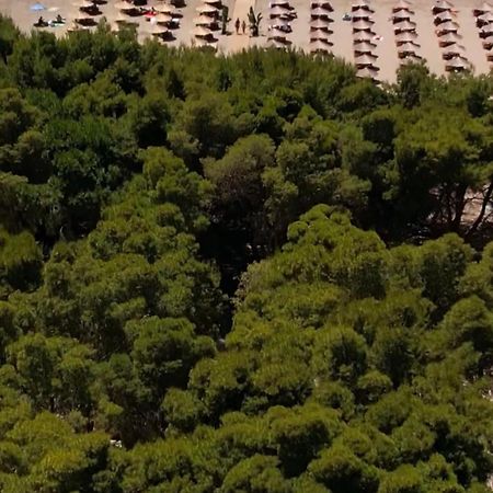Relax Camping Vlore Hotel Exterior photo